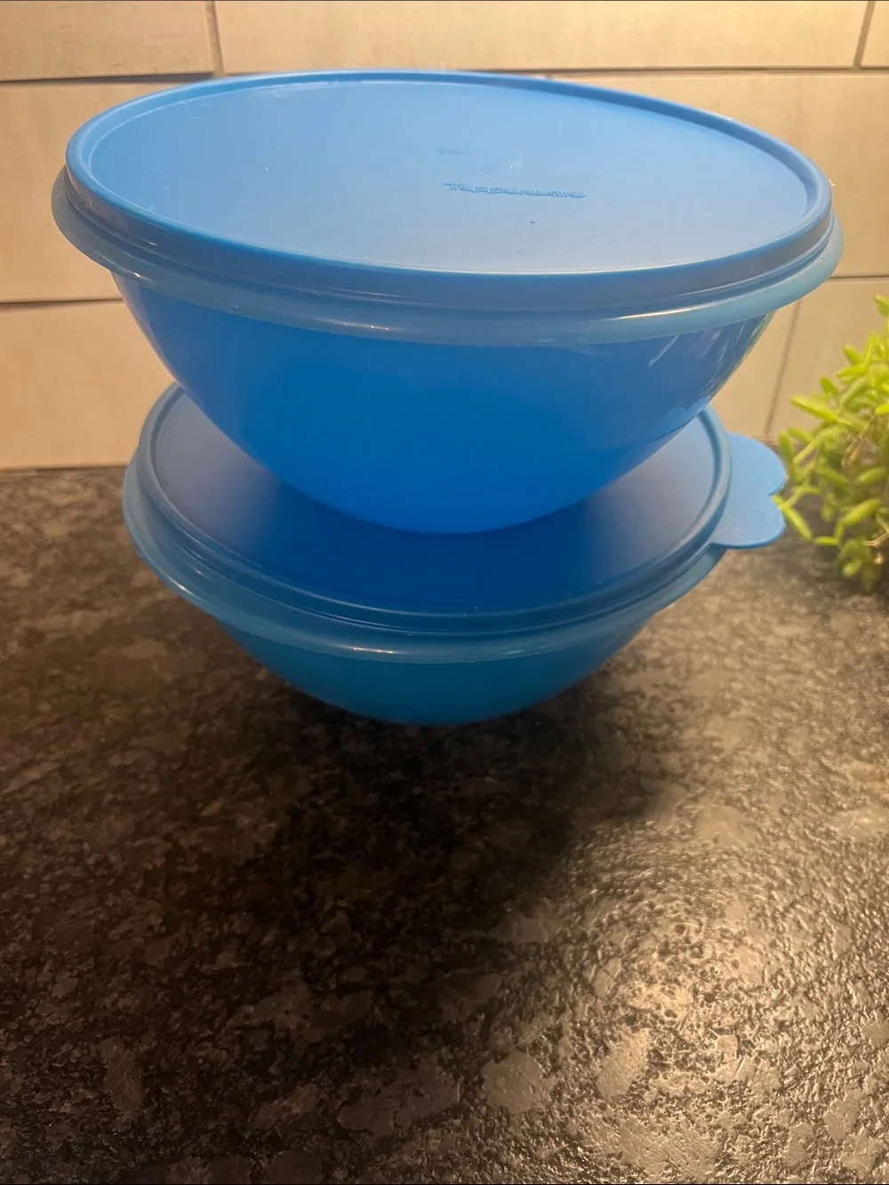 Set of 2 Tupperware Wonderlier Blue Plastic Food Storage Bowls with Lids
